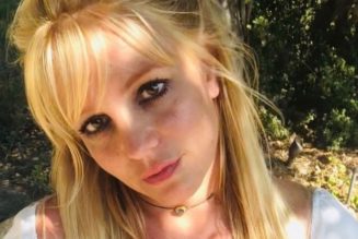 Bessemer Trust Requests to Withdraw as Co-Conservator of Britney Spears’ Estate