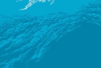 Boris Announce Vinyl Reissues of Flood and NO via Third Man Records