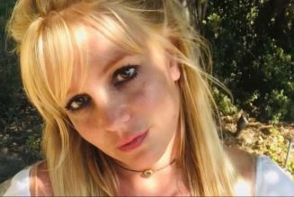 Britney Spears Uses #FreeBritney Hashtag in Instagram Post Celebrating Court Ruling