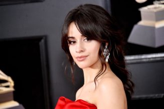 Camila Cabello Shows Off Bare Stomach While Sharing Inspiring Message About Body Positivity