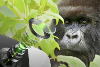Corning’s new Gorilla Glass protects smartphone camera lenses and lets in more light