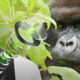 Corning’s new Gorilla Glass protects smartphone camera lenses and lets in more light