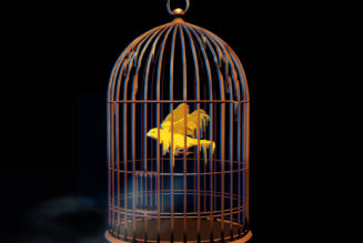 Cuffed Up Deliver Gut-Punching New Song ‘Canaries’