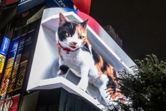 Digital Billboard of Realistic Giant 3D Cat Amazes Onlookers in Tokyo