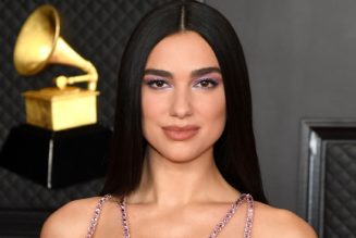 Dua Lipa Sued for Posting Paparazzi Photo of Herself to Instagram