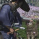 Ghost of Tsushima’s dark new expansion has fuzzy cats to pet