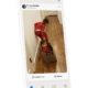 HalloApp is a private ad-free social network from two early WhatsApp employees