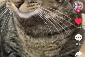 How to start posting videos on TikTok