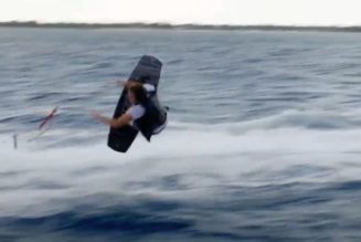 Jackass Star Bitten Trying to Literally Jump the Shark During Shark Week Stunt