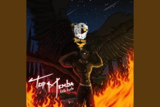 Kida Kudz – Cherry Mango ft Made Kuti