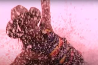 Martin Kahan, Prolific Music Video Director, Dies at 74