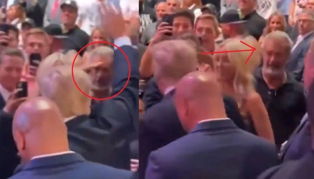 Mel Gibson Seen Saluting Dear Leader