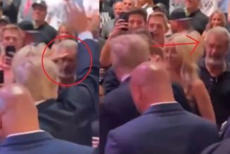 Mel Gibson Seen Saluting Dear Leader