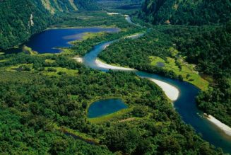 National Geographic Details New Evidence on Missing Ancient Continent Submerged Beneath New Zealand