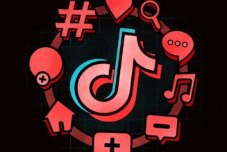 The Verge Guide to TikTok