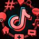The Verge Guide to TikTok