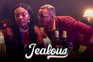VIDEO: Alikiba – Jealous ft Mayorkun