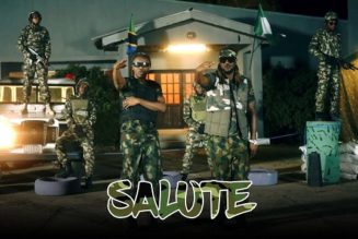 VIDEO: Alikiba – Salute ft. Rudeboy