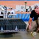 Watch This Robot Build a 100,000-Domino ‘Super Mario Bros’ Mural in a Day