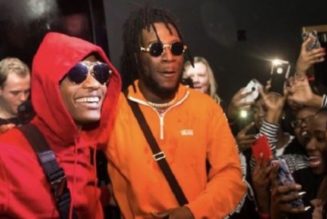 “We are on Different Lanes” – Burna Boy Dismisses Competition with Wizkid