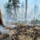 ‘We’re going to see more’ wildfires, Oregon governor warns