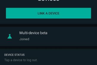 WhatsApp Multi-Device Feature Rolls Out to Kenyan Users