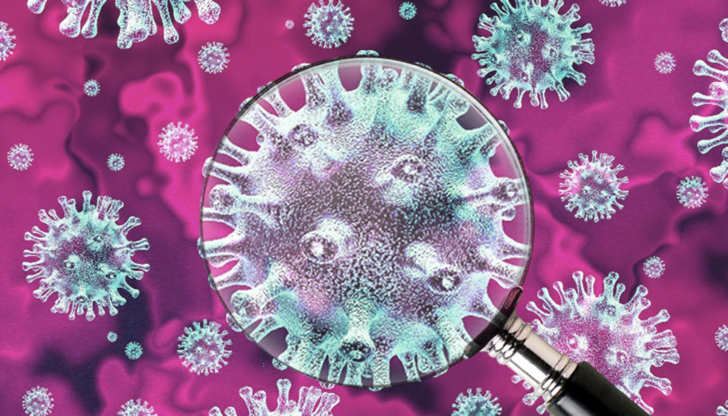 80% of SAns May Have Already Had COVID-19, According to Discovery