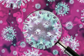 80% of SAns May Have Already Had COVID-19, According to Discovery