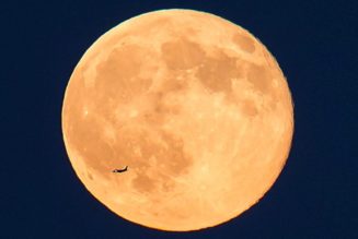 A NASA-Funded Moon Mission Is Taking Off From New Zealand Later This Year