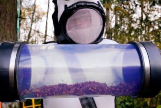 A Nest With Almost 1,500 Asian Giant ‘Murder Hornets’ Has Been Destroyed in Washington