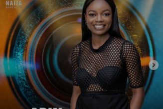 BBNaija: Arin Evicted from the Big Brother House