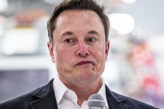 Elon Musk Calls Out Apple on Its App Store Fees: “Epic [Games] is Right”