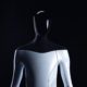 Elon Musk says Tesla is working on humanoid robots