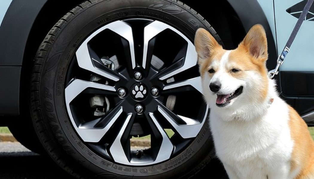 Honda Releases Pet-Themed Accessories for Its Vehicles