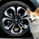 Honda Releases Pet-Themed Accessories for Its Vehicles