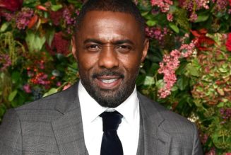 Idris Elba To Voice Knuckles in ‘Sonic the Hedgehog 2’