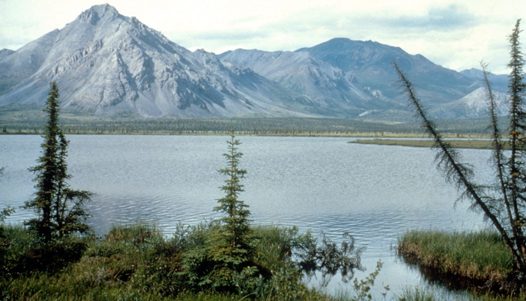 Interior denies request for new Alaska refuge survey