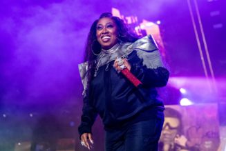 Missy Elliott Shows How Much She Adores Prince With Purple Hair