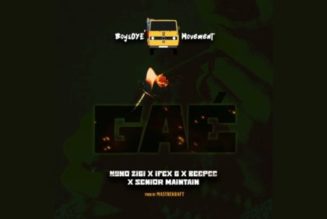 Nuno Zigi, Beepee, Senior Maintain, Ifex G – Gae