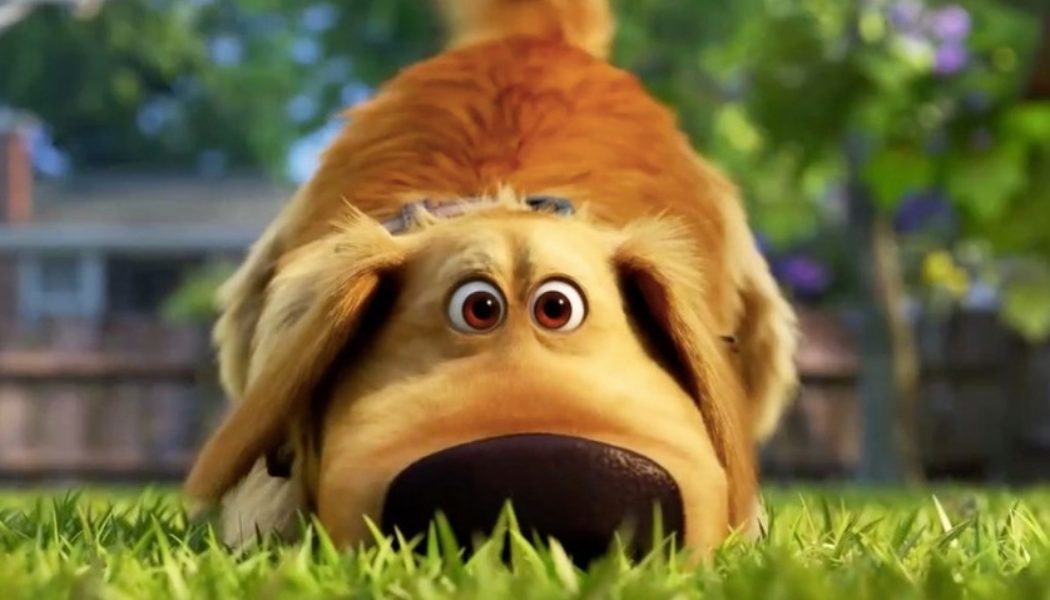Pixar’s ‘Dug Days’ Shorts Bring Back the Adorable Dog From ‘Up’