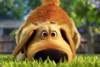 Pixar’s ‘Dug Days’ Shorts Bring Back the Adorable Dog From ‘Up’