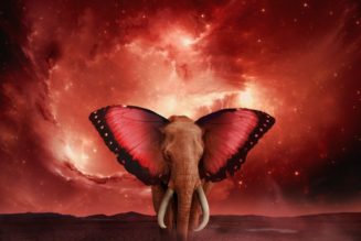 Protohype to Appear on Star-Studded Album From Rage Against the Machine’s Tom Morello