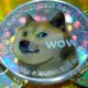 Re-Established Dogecoin Foundation Adds Ethereum Founder, Elon Musk Rep to Its Advisory Board