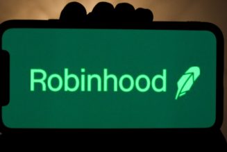 Robinhood Stock Soars in Wild Day of Trading