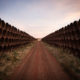Severe oil leaks worsened Keystone pipeline’s spill record, GAO finds