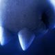 Sonic the Hedgehog 2 casts Idris Elba as Knuckles