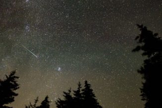 The Perseid Meteor Shower Might Be This Year’s Best