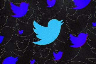 Twitter pauses its verification program rollout after giving fake accounts blue checks