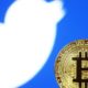 Twitter Taps Crypto Researcher To Lead Its Decentralized Social Network Bluesky