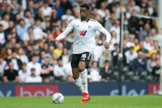 Wolves eye move for 23-year-old ace after missing out on £35m target – Journalist